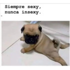 Siempre sexy, nunca insexy