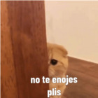 No te enojes plis