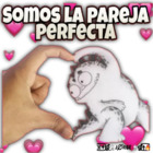 Somos la pareja perfecta