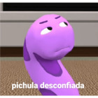 Pichula desconfiada