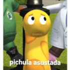 Pichula asustada