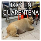 Toy en cuarentena