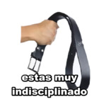 Estas muy indisciplinado