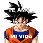 Te amo mi vida