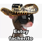 Estoy facherito