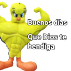 Buenos días que dios te bendiga