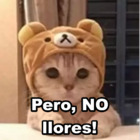 Pero, NO llores!