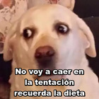 No voy a caer en la tentación recuerda la dieta