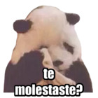 Te molestaste?