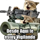 Desde Aquí te estoy Vigilando