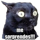 Me sorprendes!!!