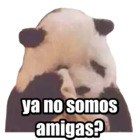 Ya no somos amigas?