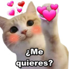 ¿Me quieres?