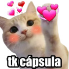 tk cápsula