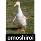 Omoshiroi