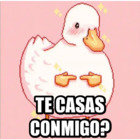 TE CASAS CONMIGO?