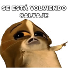 Se está volviendo salvaje