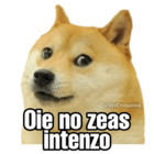 Oie no zeas intenzo