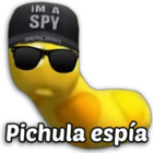 Pichula espía