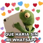 QUE HARIA SIN MI WHATSAPP