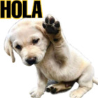 Hola