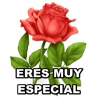 Eres muy especial