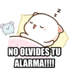 NO OLVIDES TU ALARMA!!!!