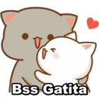 Bss Gatita