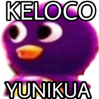 KELOCO YUNIKUA