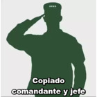 Copiado comandante y jefe