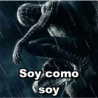 Soy como soy