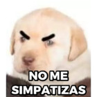 NO ME SIMPATIZAS