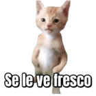 Se le ve fresco