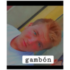 Gambón