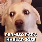 PERMISO PARA HABLAR JOSE