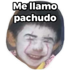 Me llamo pachudo