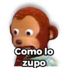 Como lo zupo