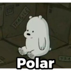 Polar