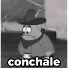 Conchale