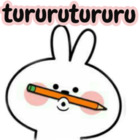 Turruturru