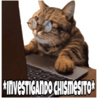 *Investigando chismesito*