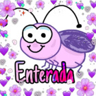 Enterada