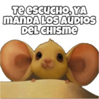 Te escucho, ya manda los audios del chisme