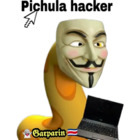 Pichula hacker