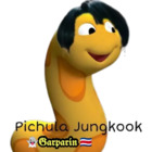 Pichula Jungkook