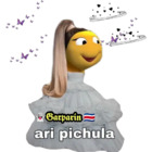 Ari pichula