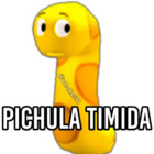 Pichula tímida