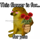 This flower is for.. for you