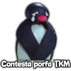 Contesta porfa TKM