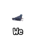 We